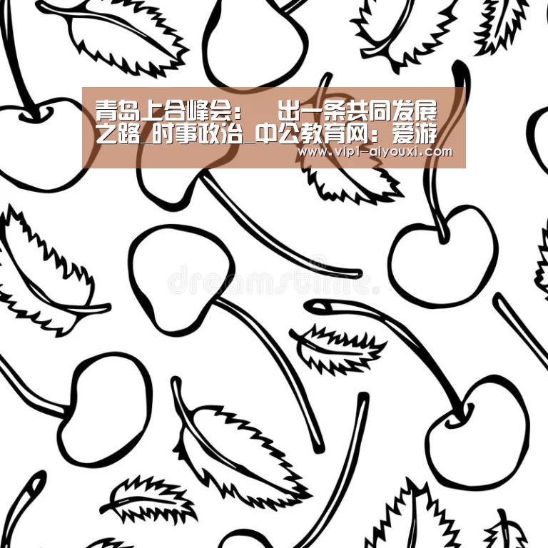 青岛上合峰会:蹚出一条共同发展之路_时事政治_中公教育网:爱游戏体育直播(图3) 爱游戏体育官网